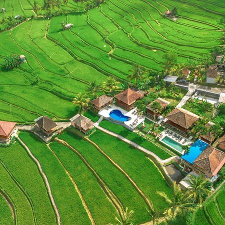 Villa Sande Munduk エクステリア 写真