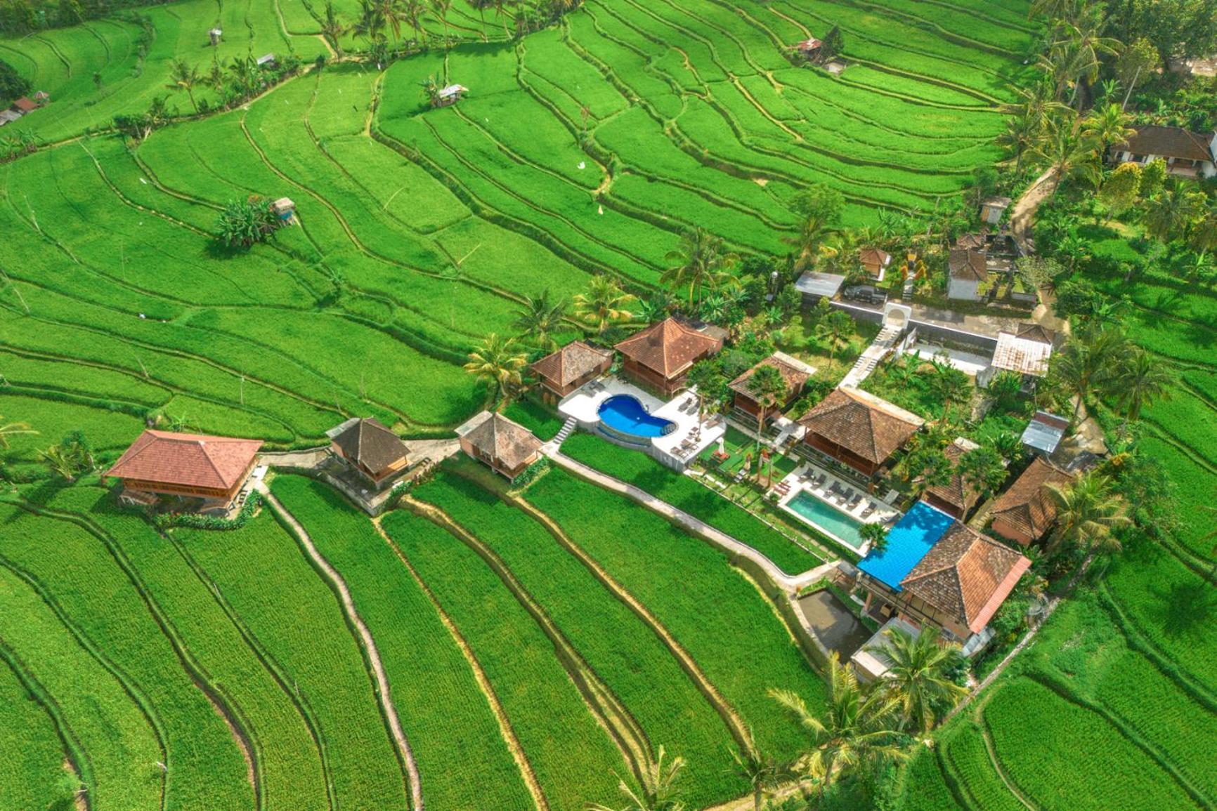 Villa Sande Munduk エクステリア 写真
