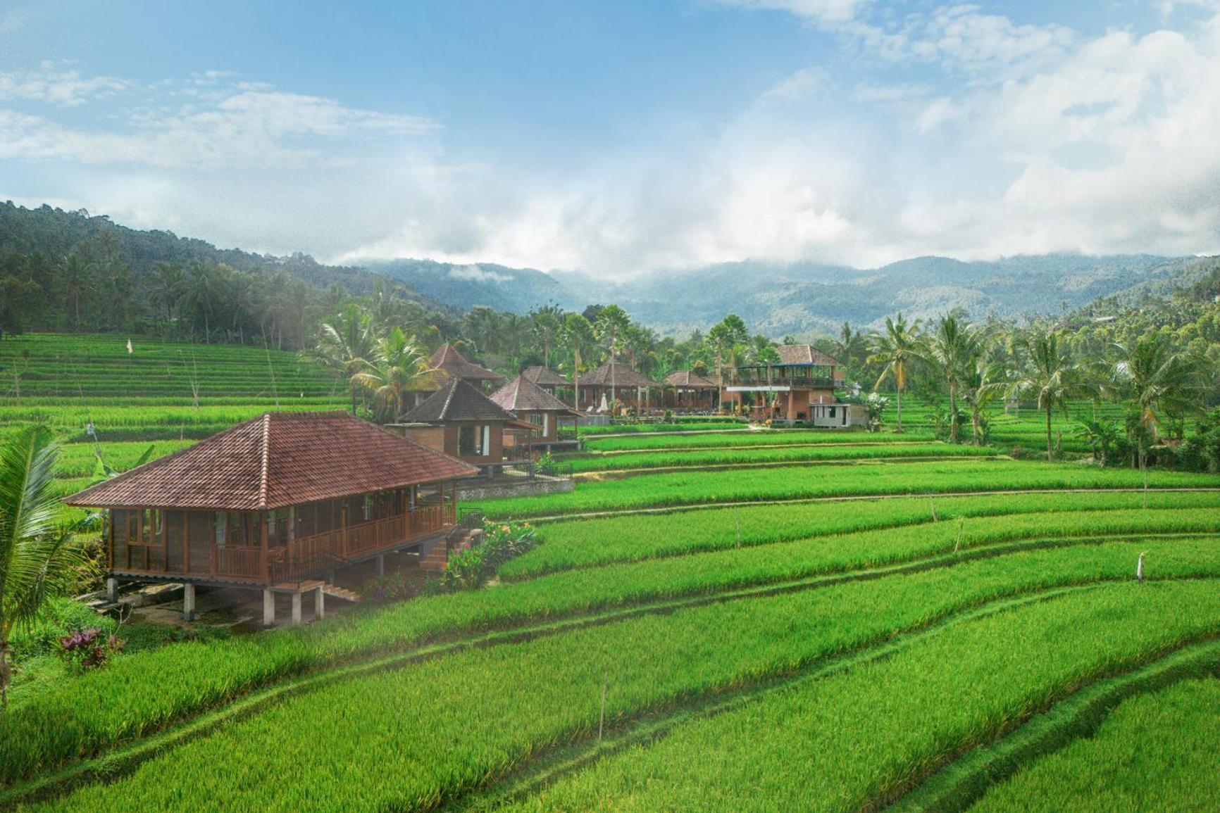 Villa Sande Munduk エクステリア 写真