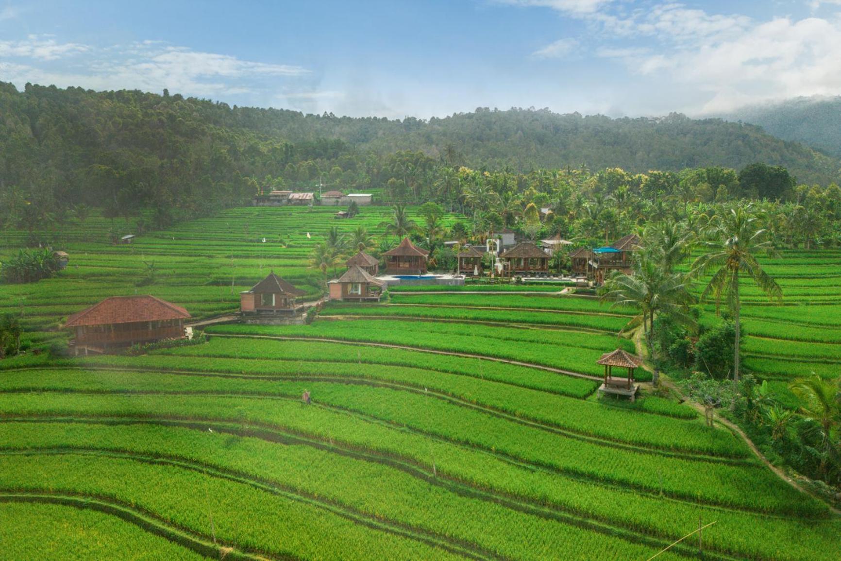 Villa Sande Munduk エクステリア 写真